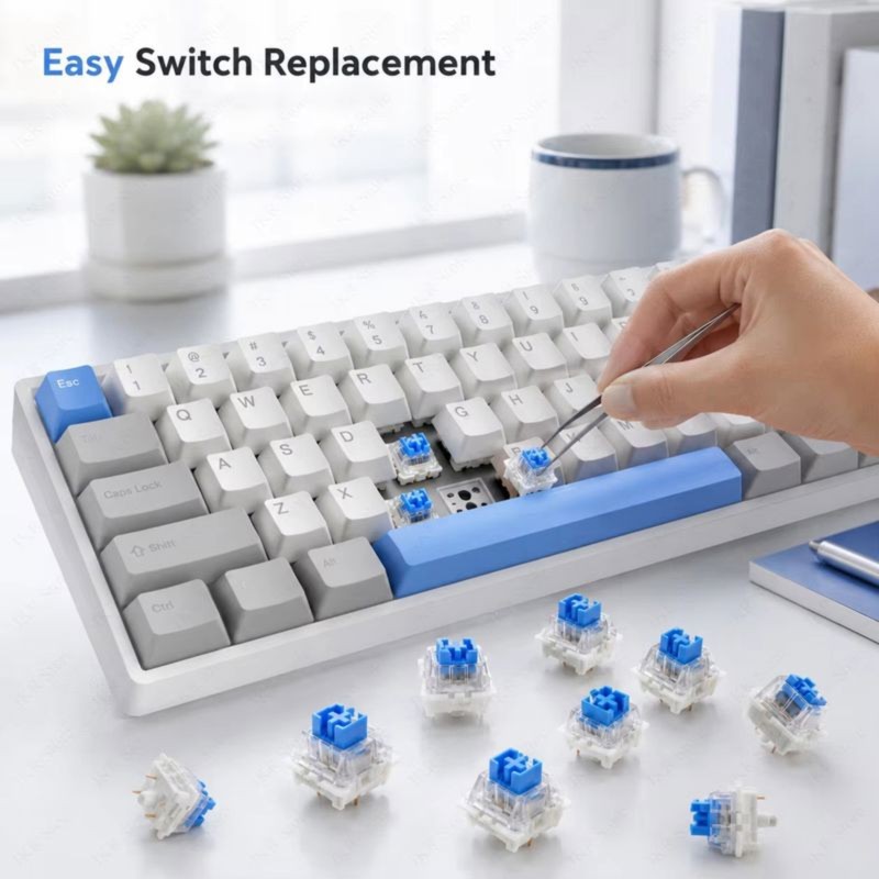 DT21 100 piezas de interruptor - Keyboard Gaming Blue Switch reseña y precio